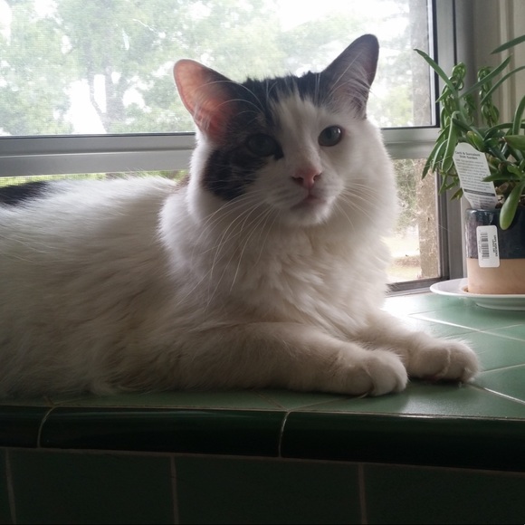 Meet your Posher, Deirdra - Picture 7 of 13